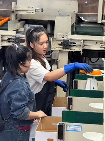 農業（北海道）